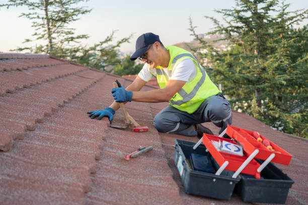 Best Roof Gutter Cleaning  in Vander, NC