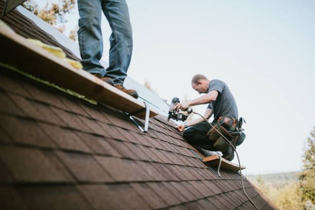 Best Gutter Installation and Roofing  in Vander, NC