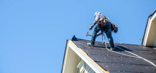 Best Metal Roofing Contractor  in Vander, NC